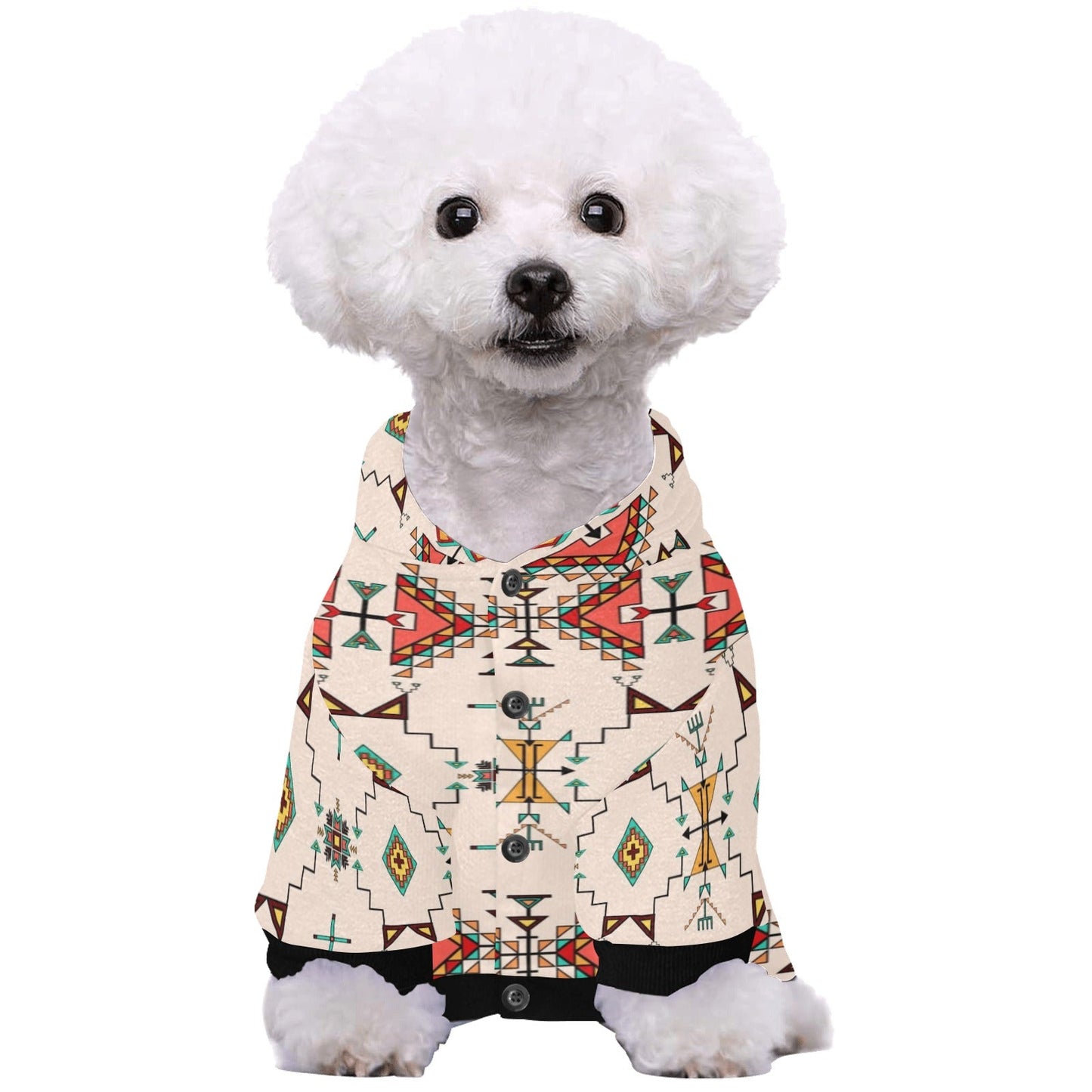 Thunder Flight Pet Hoodie