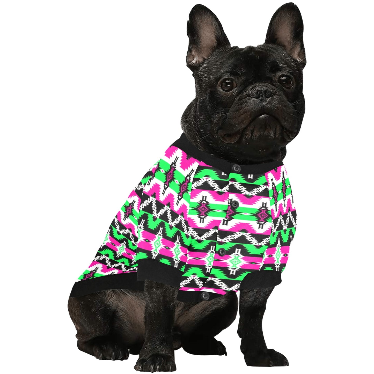 Two Spirit Pet Shirt