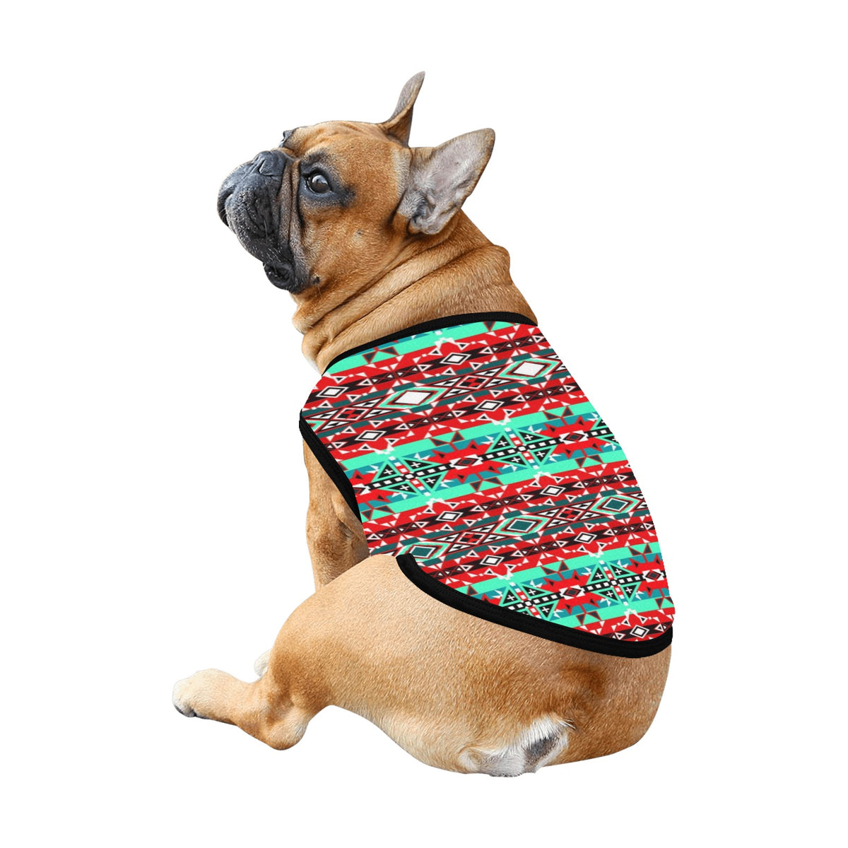 After the Southwest Rain Pet Tank Top – Pet Apparel by 49 Dzine