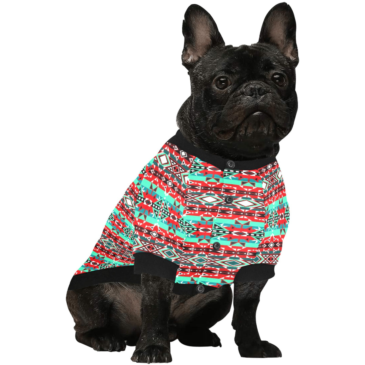 After the Southwest Rain Pet Shirt – Pet Apparel by 49 Dzine