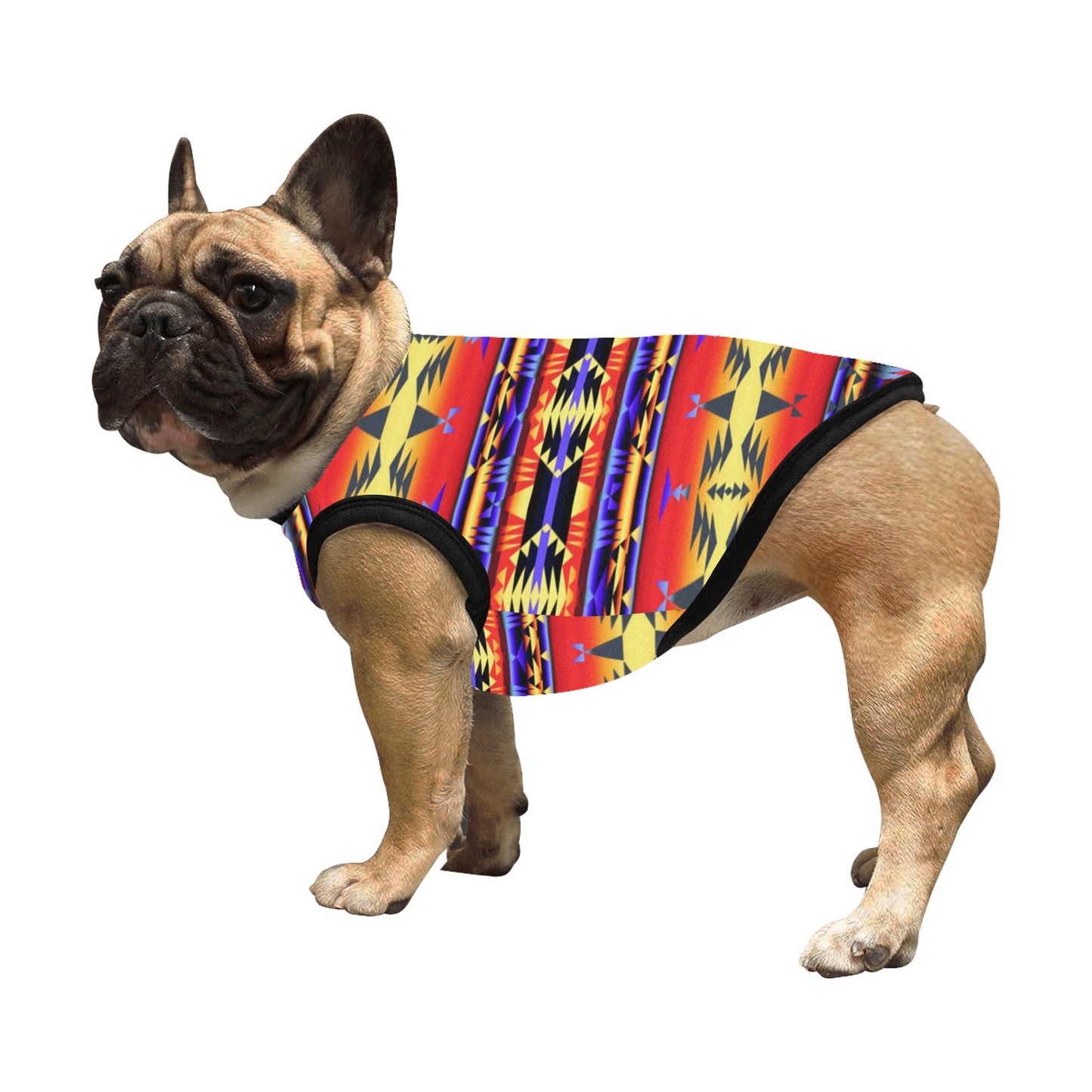 Between the San Juan Mountains Pet Tank Top