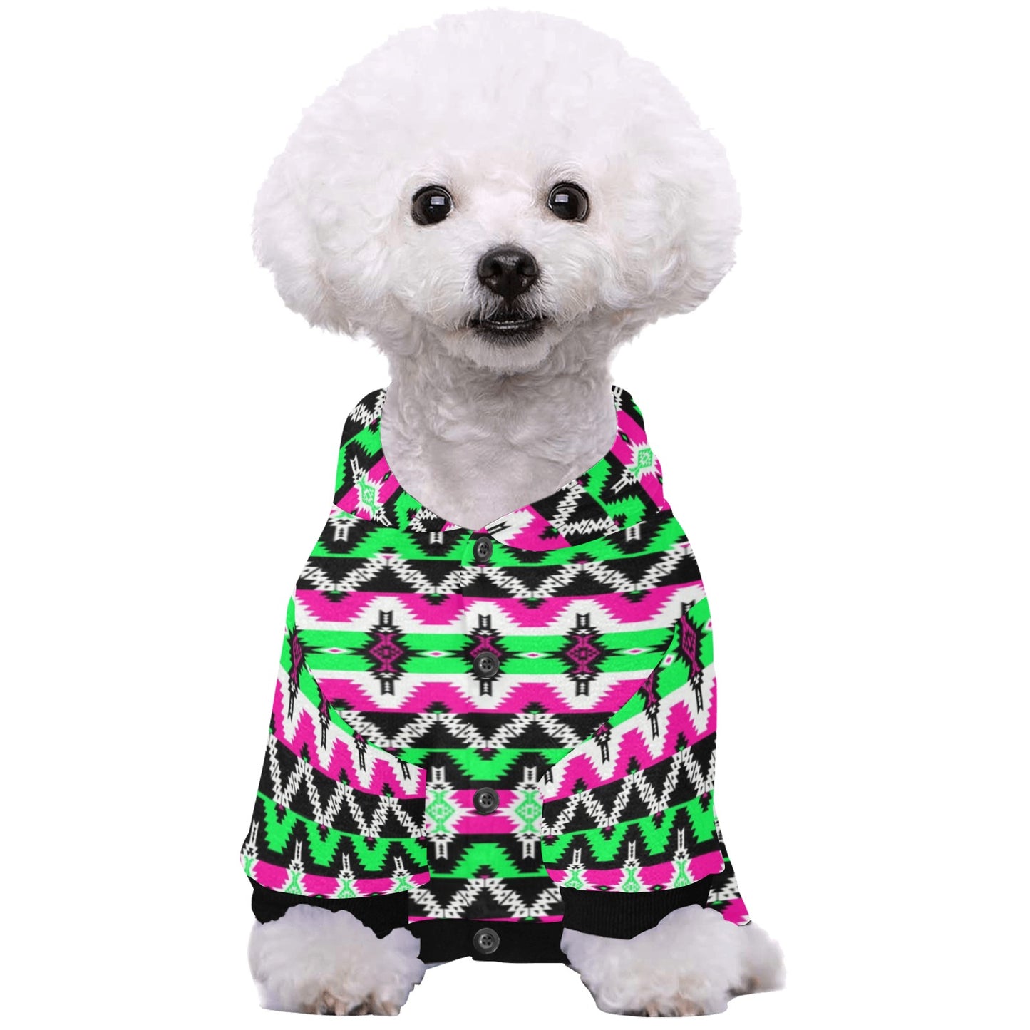 Two Spirit Pet Dog Hoodie