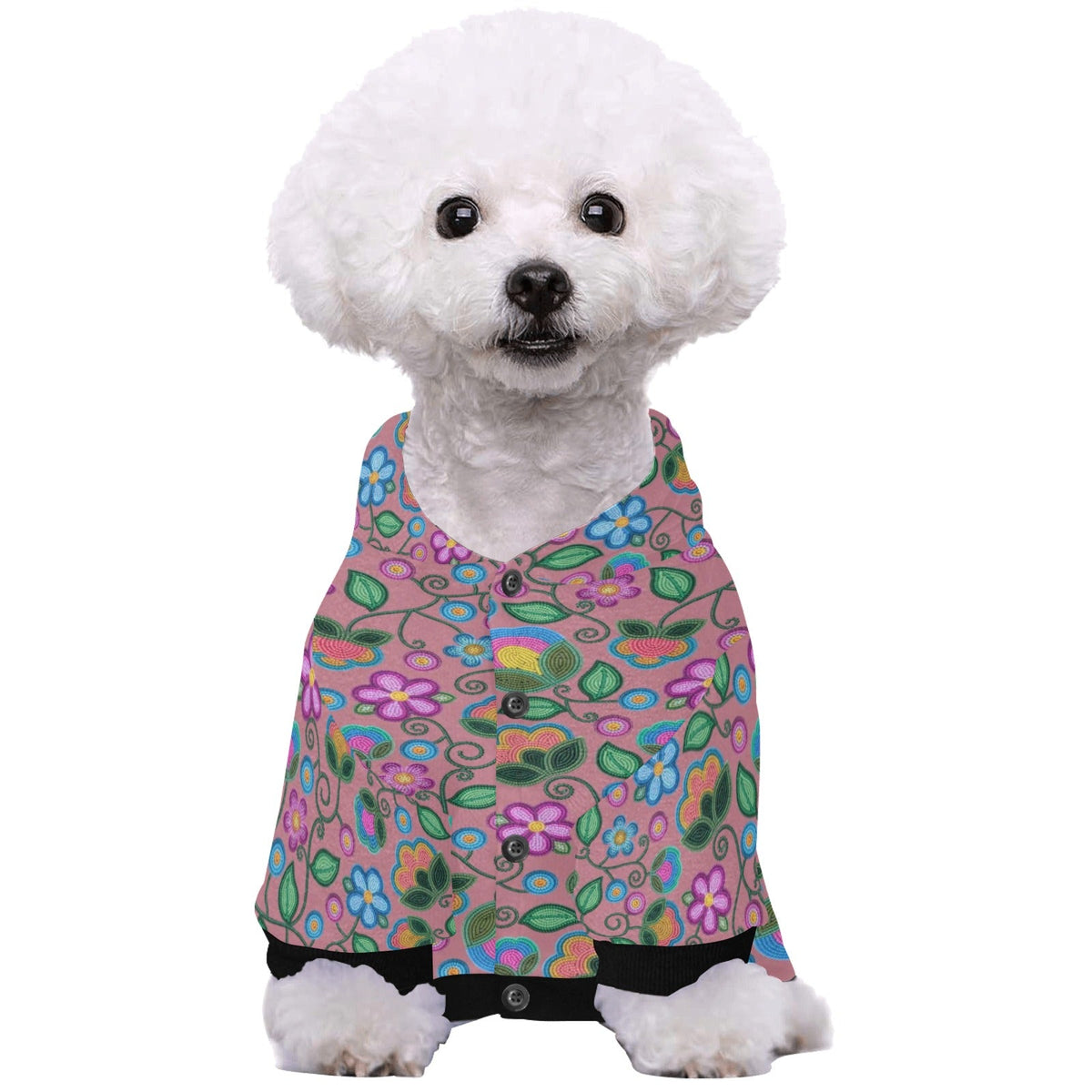 Turquoise Sunbeam Peach Pet Hoodie