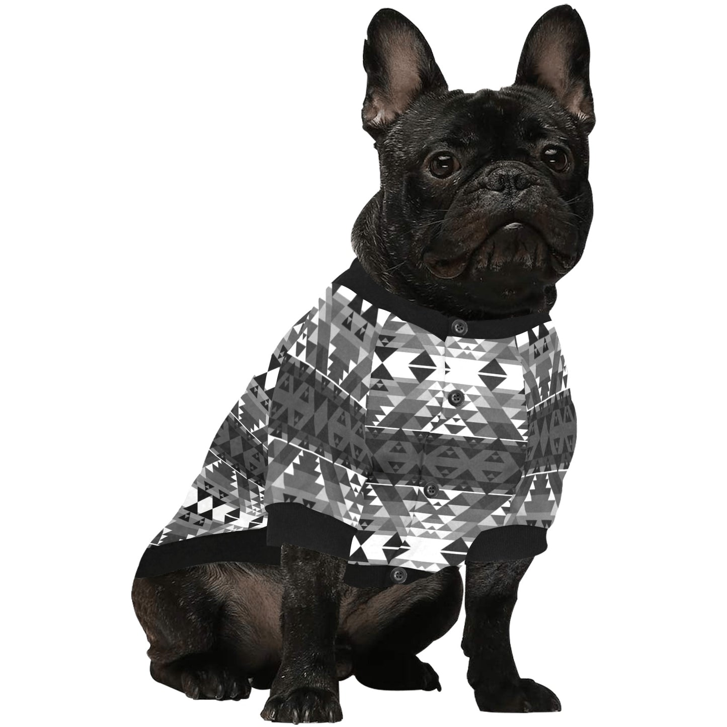 Writing on Stone Pet Shirt