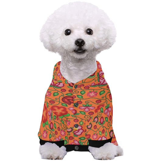 Rose Reverie Orange Pet Hoodie