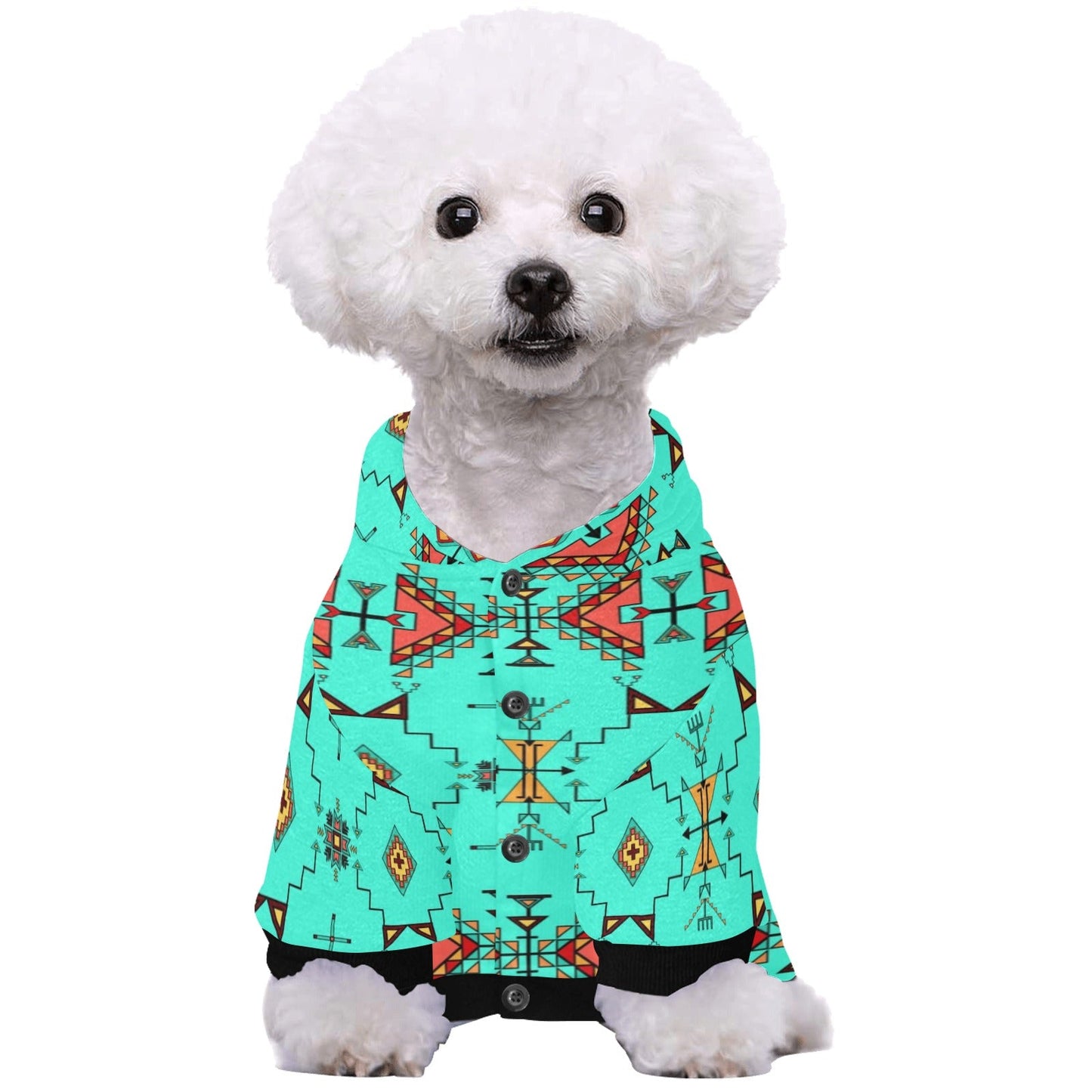 Thunder Flight Turquoise Pet Dog Hoodie