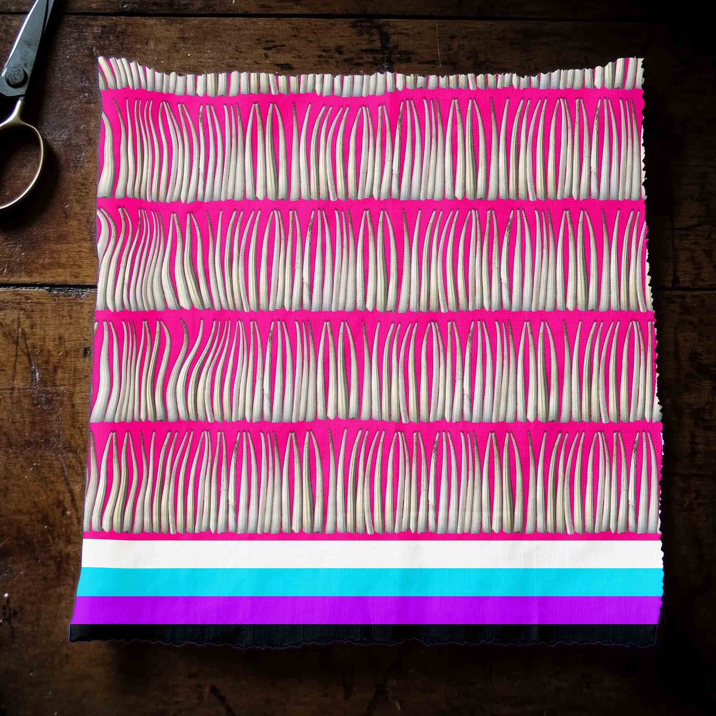 Dentalium on Pink Fabric