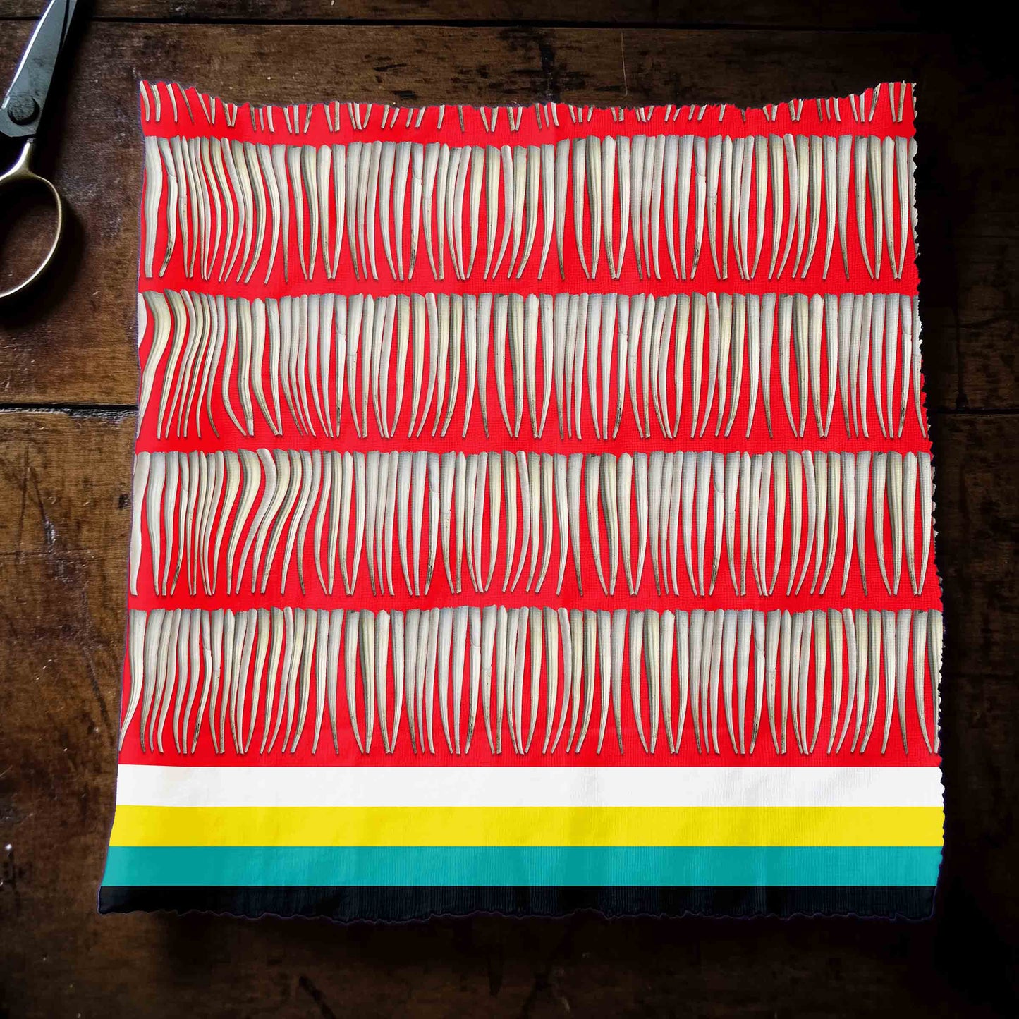 Dentalium on Red Fabric