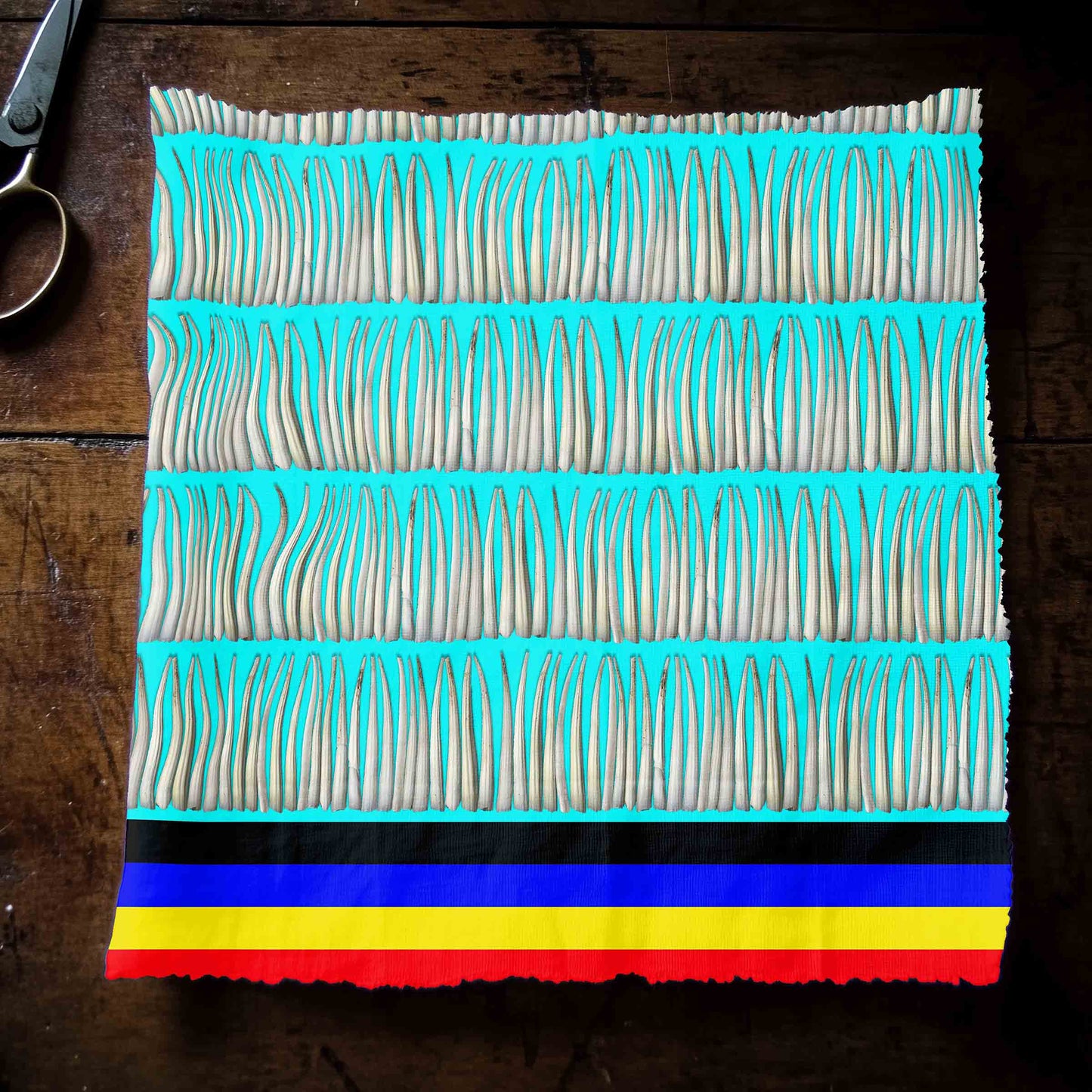 Dentalium on Turquoise Fabric