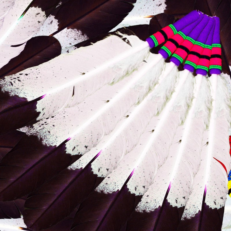 Eagle Feather Fans Fabric