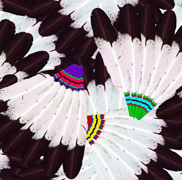 Eagle Feather Fans Fabric