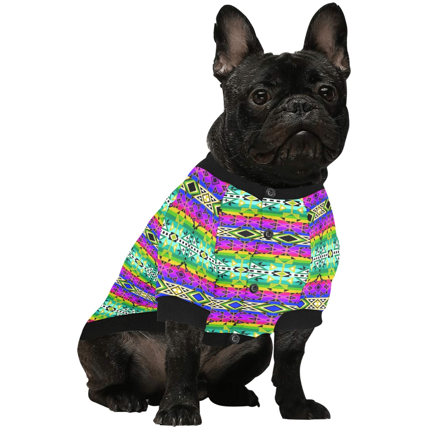After the Rain Pet Shirt