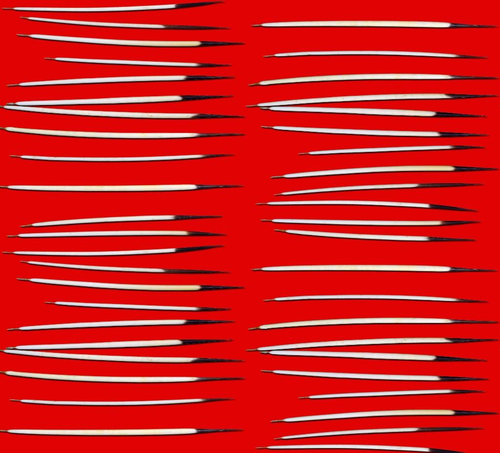 Quills Dancing Red Poplin Fabric By the Yard Fabric NBprintex 