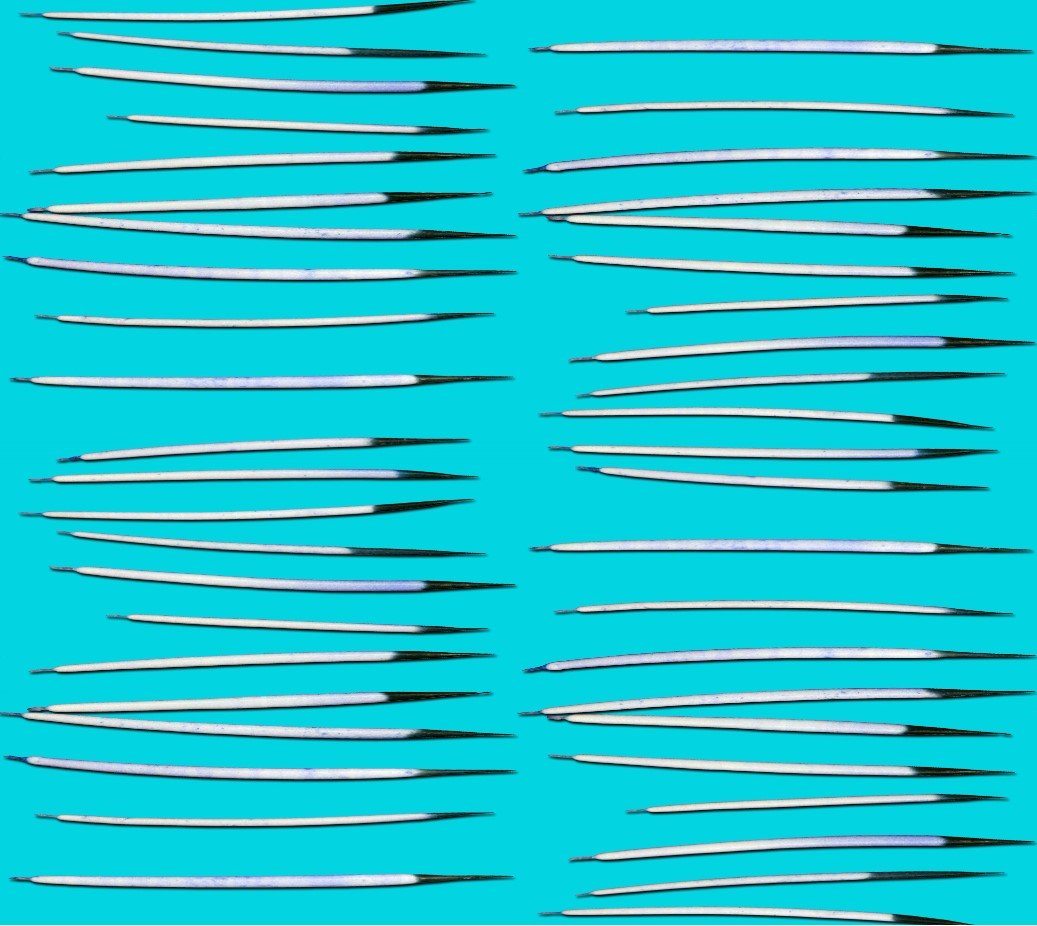 Quills Dancing Sky Poplin Fabric By the Yard Fabric NBprintex 