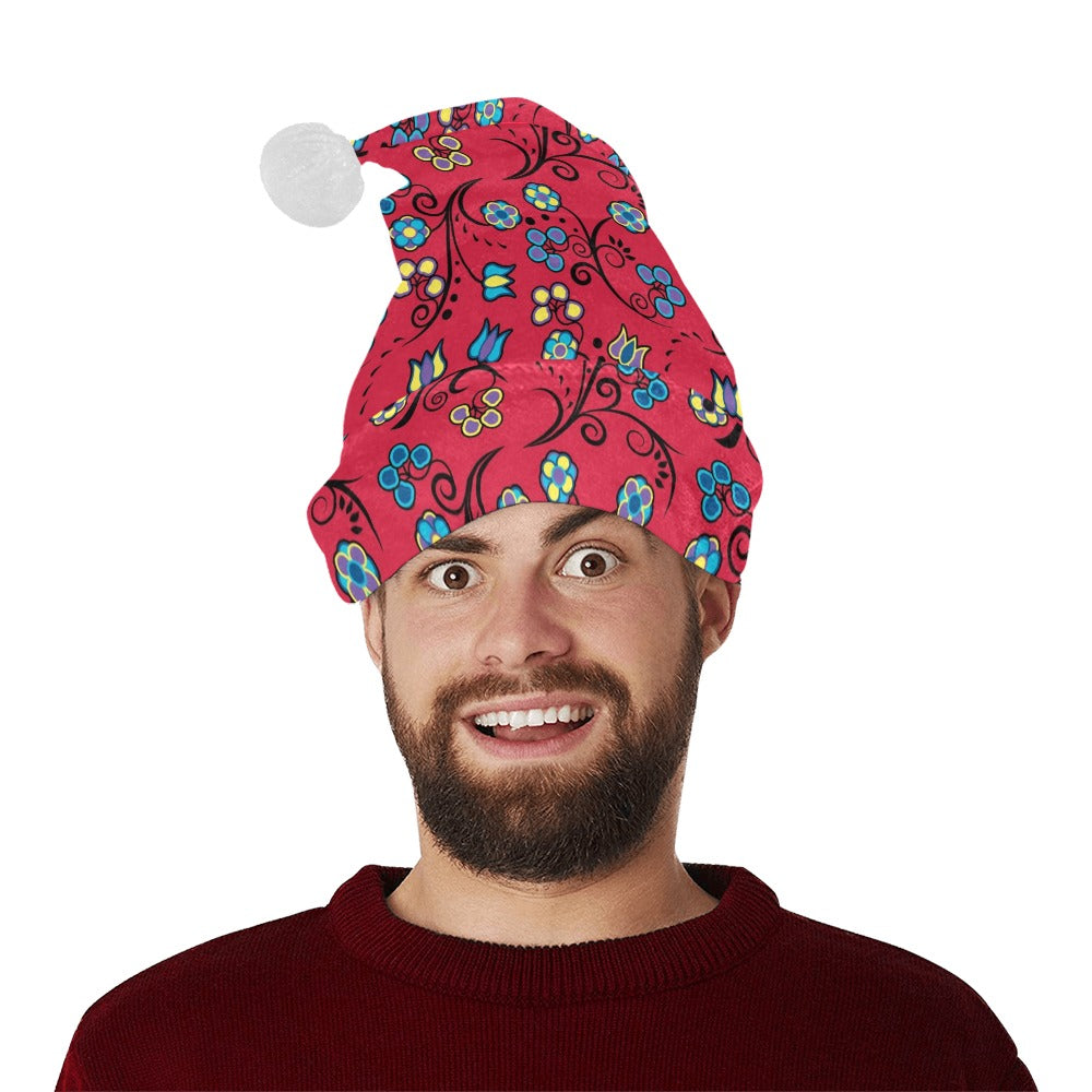 Blue Trio Cardinal Santa Hat
