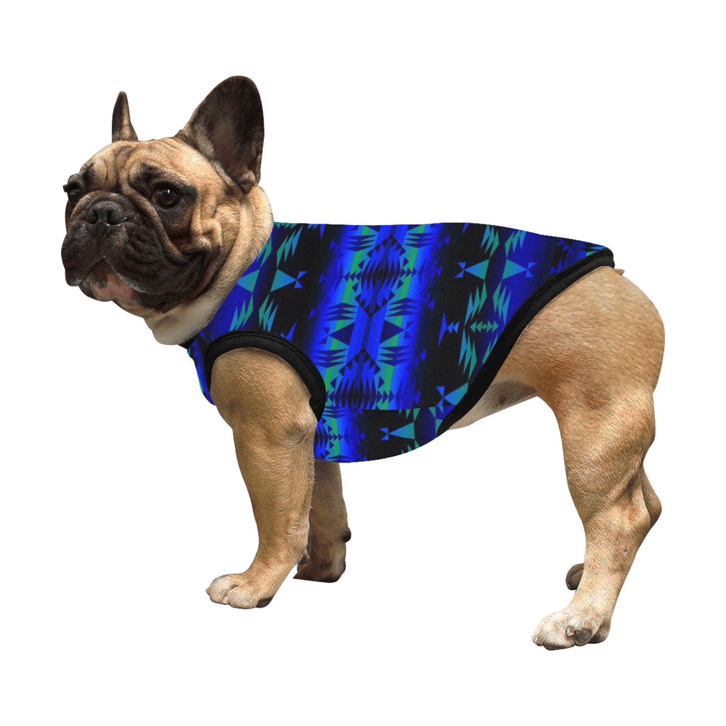 Between the Blue Ridge Mountains Pet Tank Top