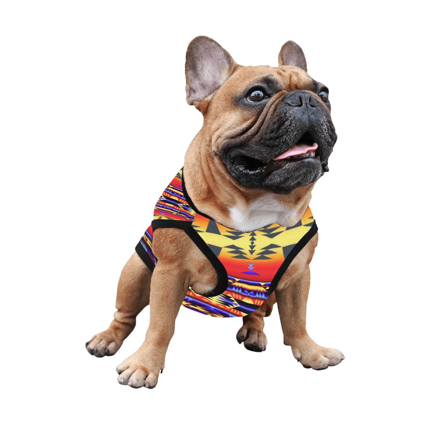 Between the San Juan Mountains Pet Tank Top