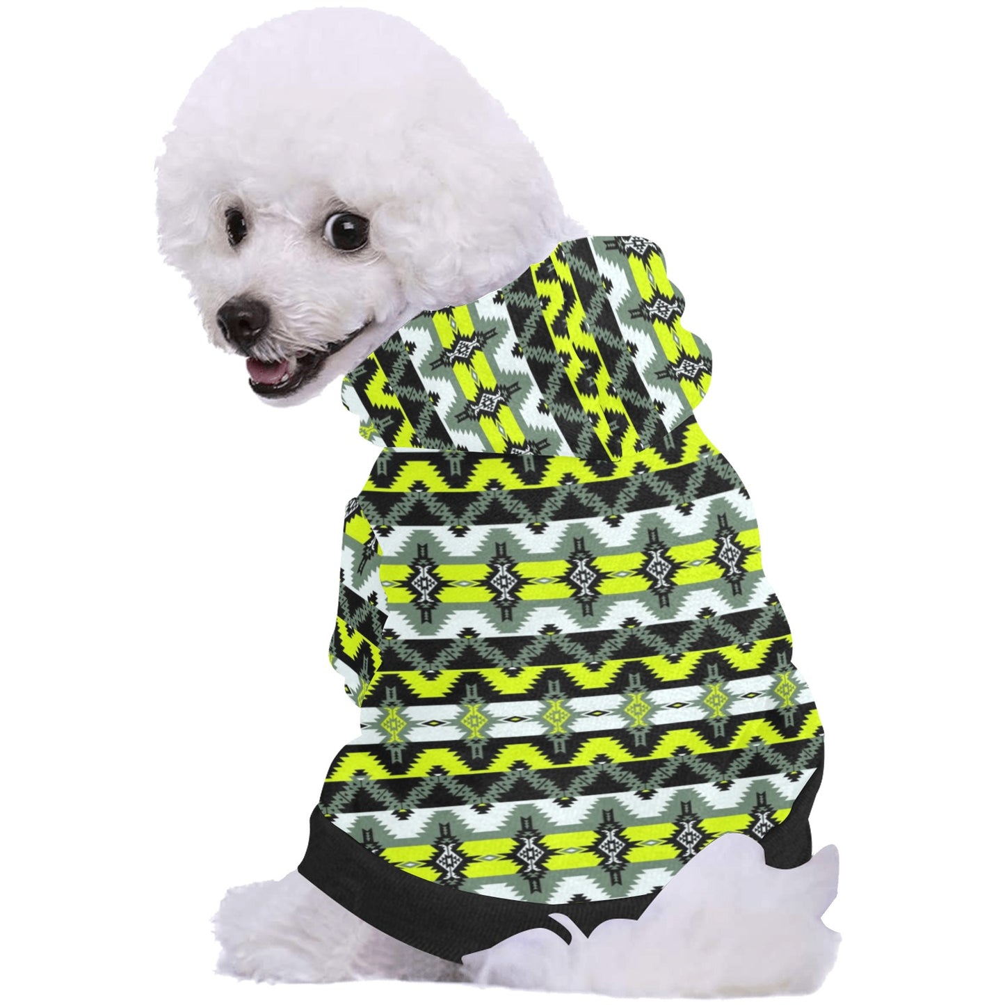 Two Spirit Medicine Pet Dog Hoodie