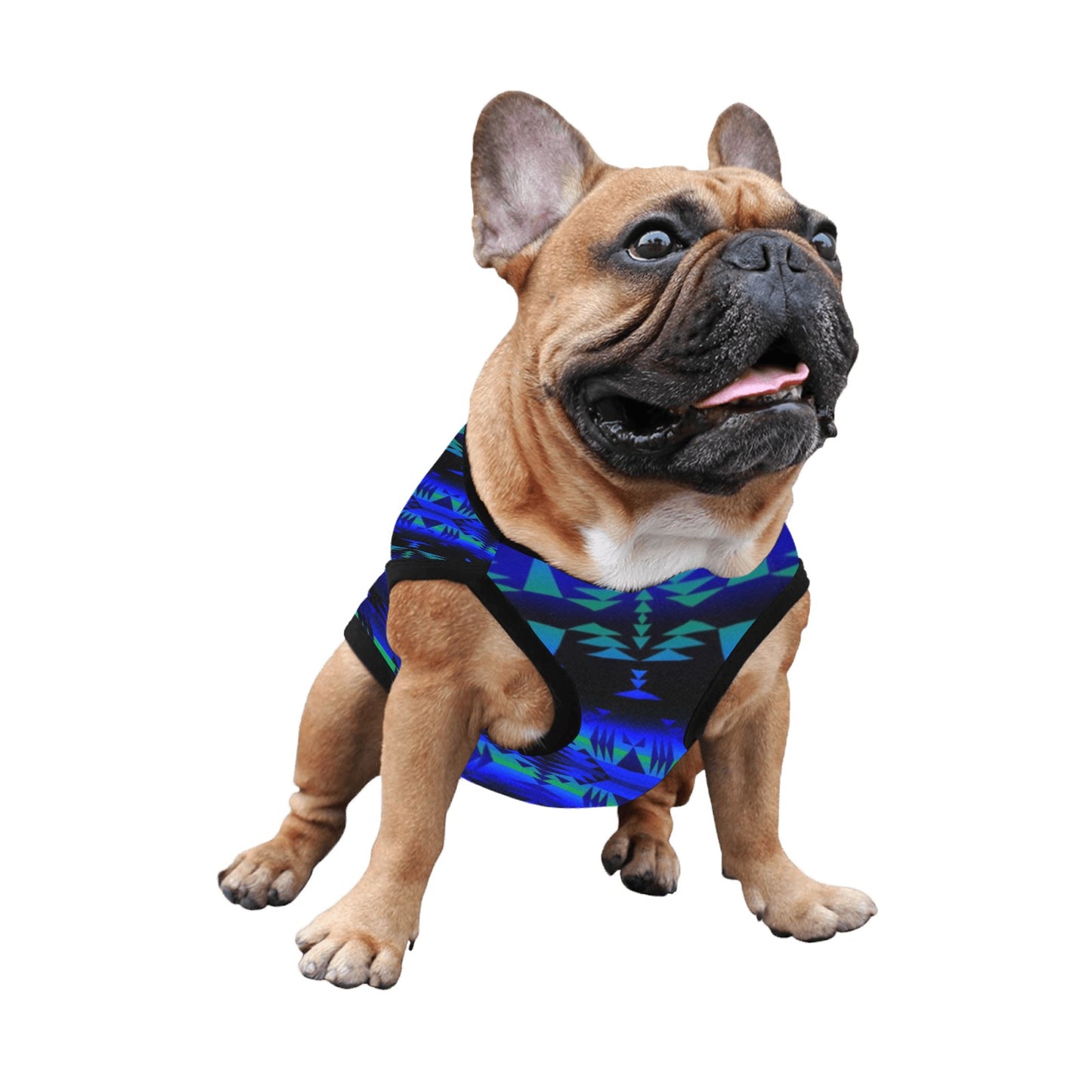 Between the Blue Ridge Mountains Pet Tank Top