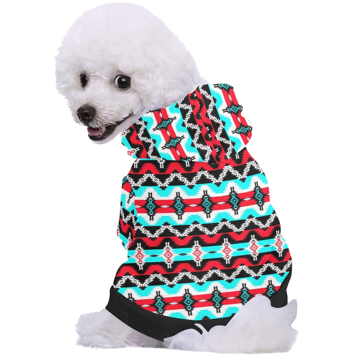 Two Spirit Dance Pet Dog Hoodie