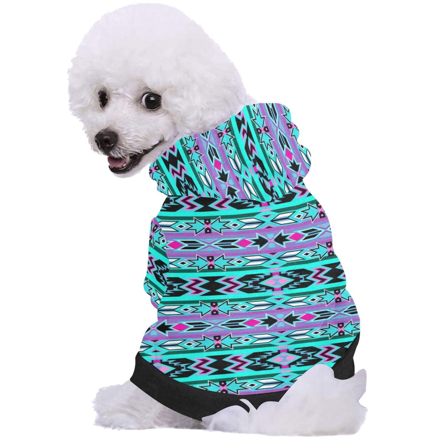 Northeast Journey Pet Dog Hoodie