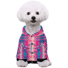 Load image into Gallery viewer, Desert Geo Blue Pet Dog Hoodie
