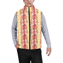 Load image into Gallery viewer, Butterfly and Roses on Geometric Men&#39;s Padded Vest Jacket
