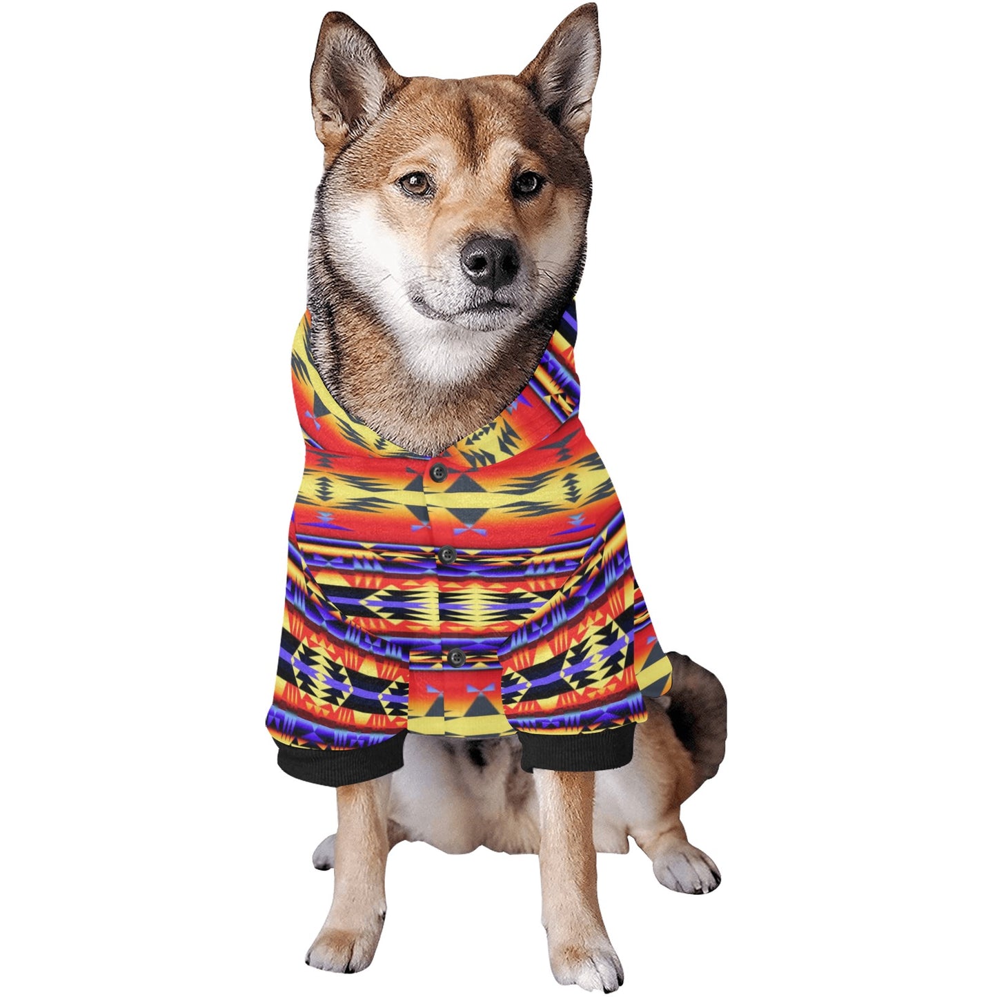 Between the San Juan Mountains Pet Dog Hoodie