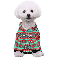 Load image into Gallery viewer, After the Southwest Rain Pet Dog Hoodie
