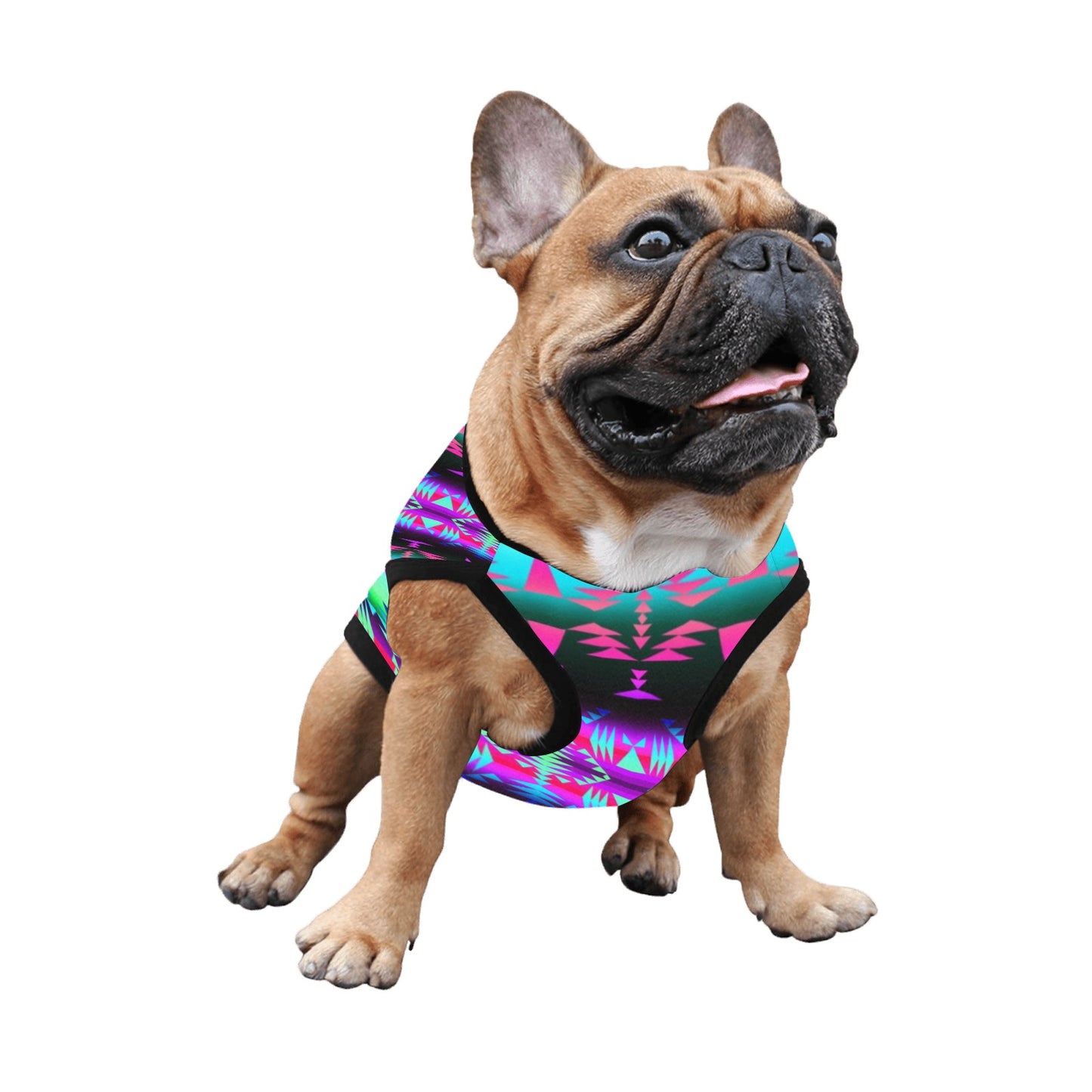 Between the Rocky Mountains Pet Tank Top