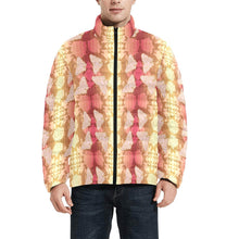 Load image into Gallery viewer, Butterfly and Roses on Geometric Men&#39;s Stand Collar Padded Jacket (Model H41) Men&#39;s Stand Collar Padded Jacket (H41) e-joyer 
