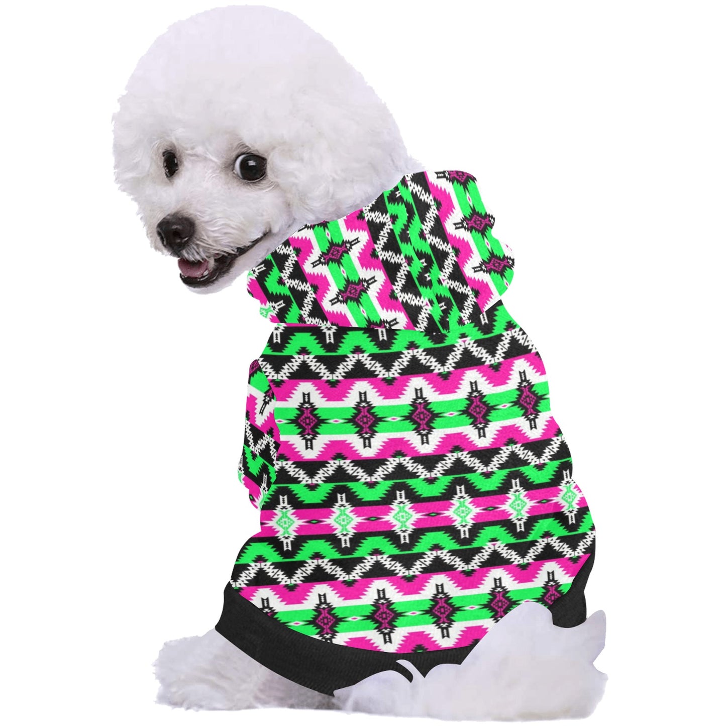 Two Spirit Ceremony Pet Dog Hoodie