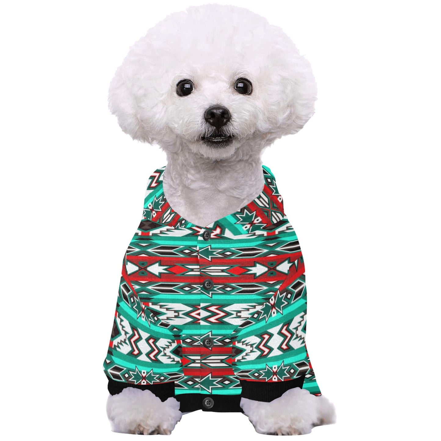 Southwest Journey Pet Dog Hoodie