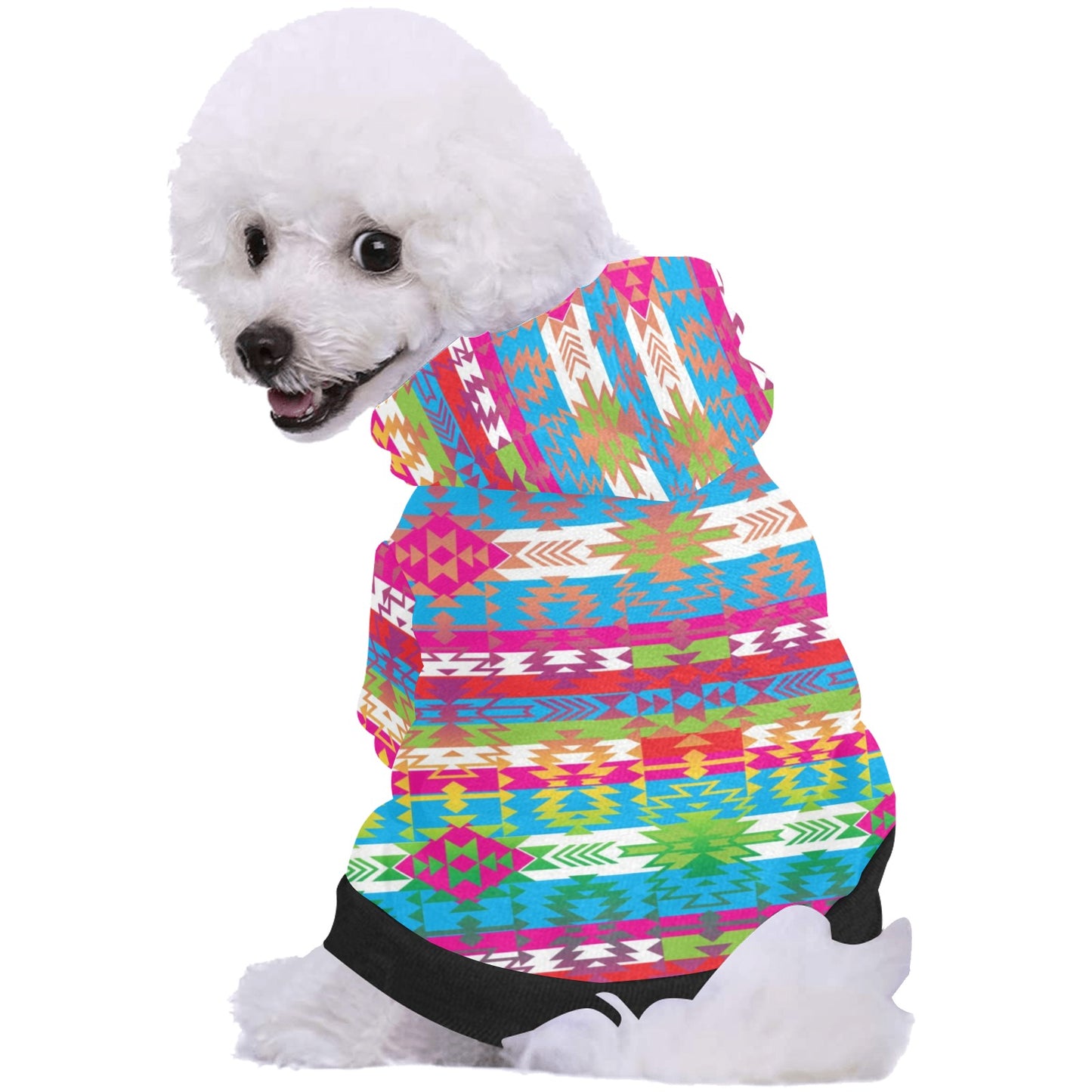 Grand Entry Pet Dog Hoodie